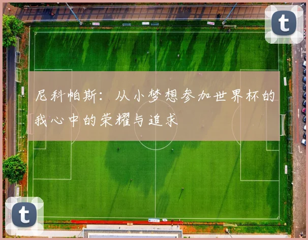 尼科帕斯：从小梦想参加世界杯的我心中的荣耀与追求